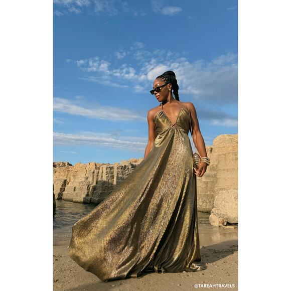 Show Me Your Mumu Paros Maxi Dress in Pleated Gold XS - Picture 8 of 8